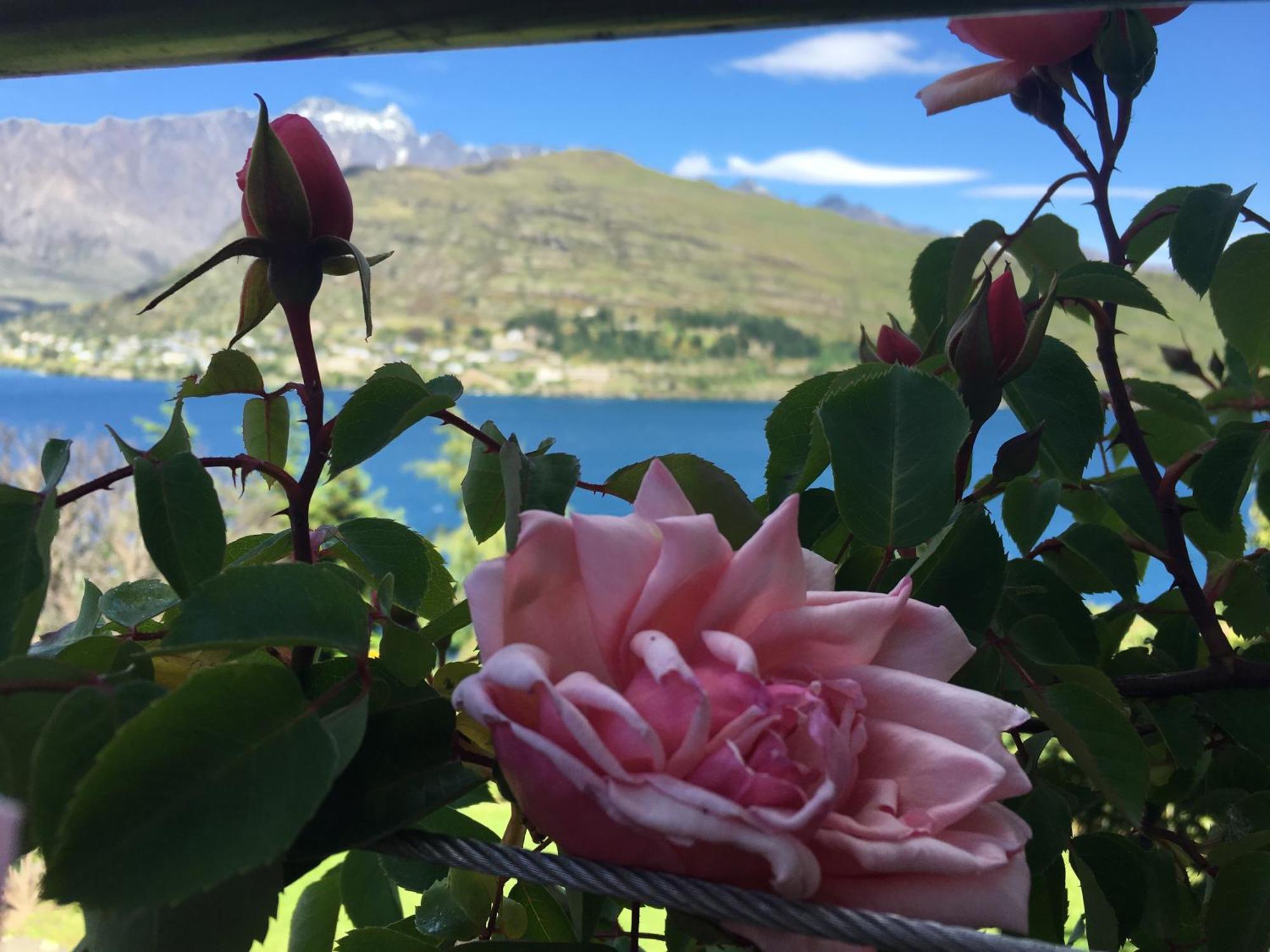 Breakfast At Tiffanys Bed & Breakfast Queenstown Exterior photo